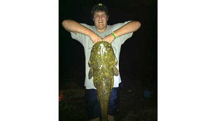 Philip Weremeychik, 21, of New Kensington racked up 320 points and won in two categories of the recent Lock 3 and Clyde & Patti's Allegheny River Tournament. His catfish was a 44-inch, 30 1/2-pound flathead, and his carp measured 30 inches. Both fish were caught near Verona using chicken liver.