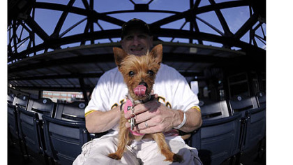 Dan Honan and his yorkshire terrier, Isabella, enjoy the Pirates game Tuesday at PNC Park.