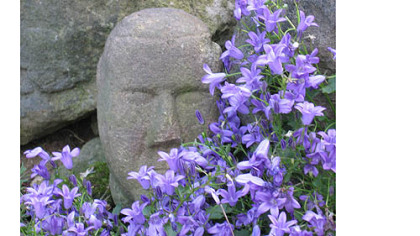 A small stone head, in the garden of Jim and Mary Beth Crawford, surrounded by Campanula
