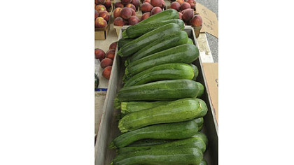 When life hands you zucchini, make Zucchini Patties or Grilled Chicken Ratatouille.