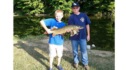 Joe O'Connell, 11, and Dan O'Connell, 14, of West Mifflin caught this muskie on the Shenango River.
