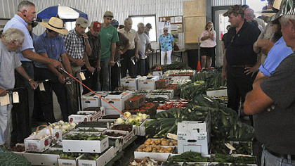 Jim Johnston, 2nd left, the manager of the Tri County Procduce Auction in New Wilmington, PA, points to some onions being offered to  buyers  as auctioineer Andrew Yoder takes bids.