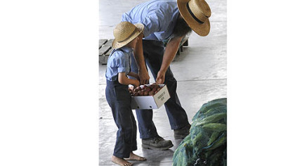 There are children helping with their families at the Tri County Produce Auction in New Wilmington, PA.