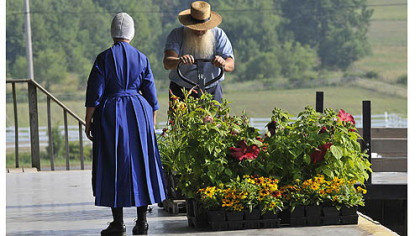 Flowers, in addition to produce, are up for bid at the Tri County Produce Auction in New Wilmington, PA.