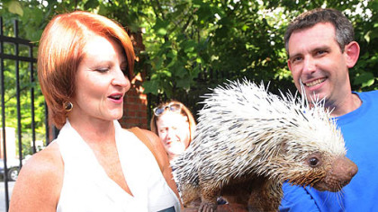 Mary Werley-Delula with "Rhiannon" the porcupine.