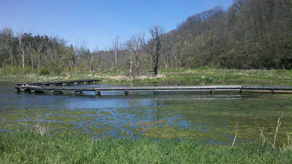 Wingfield Pines wetlands in Upper St. Clair as they looked in the spring.