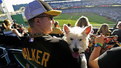 Rob Bauer, 27, of North Huntingdon, sits with Sammy, a West Highland White Terrier, during pup night Tuesday at PNC Park.