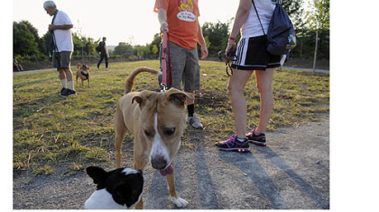 Josh Linton keeps his dog on a leash as he talks to Beth Reeger at the newly opened and dedicated South Side Dog Park.