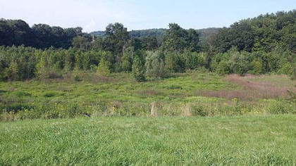 Dutch Fork Lake in Washington County was drained in 2004 after the remnants of Hurricane Ivan destroyed the concrete spillway.  Many of the trees and vegetation that have since grown up in the dry lake bed will be left in place as fish habitat.