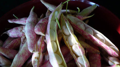 Shelly beans -- cranberry beans -- from the Mt. Lebanon Lions Farmers Market.
